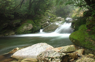 屋久島・滝