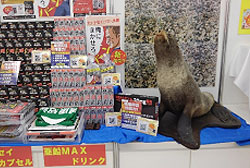 オットピン-S　2019年提案商談会出展時写真
      